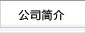 公司简介