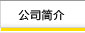 公司简介